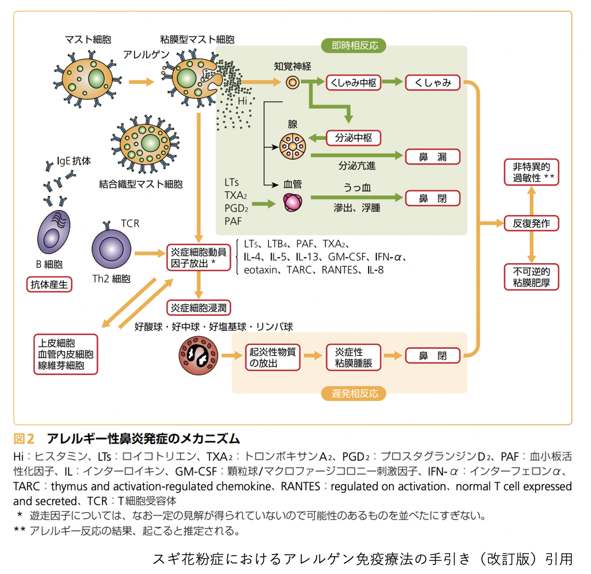 スギ花粉におけるアレルゲン免疫療法の手引き（改訂版）引用